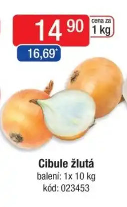 Qanto Cibule žlutá nabídka