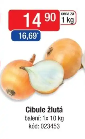 Qanto Cibule žlutá nabídka