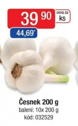 Qanto Česnek nabídka