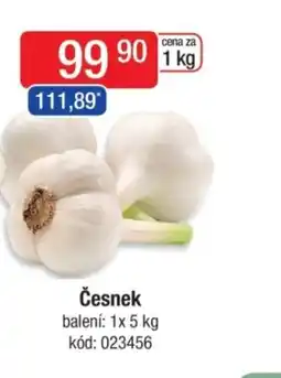 Qanto Česnek nabídka