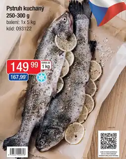 Qanto Pstruh kuchaný nabídka