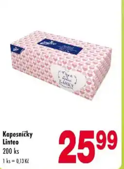 Qanto Kapesníčky Linteo nabídka