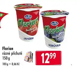 Qanto OLMA Florian nabídka