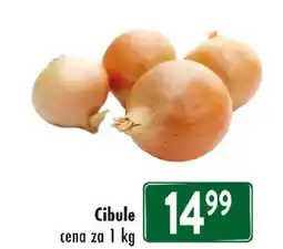 Qanto Cibule nabídka