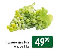 Qanto Hroznové víno bílé nabídka
