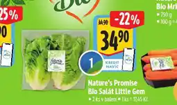 Albert Bio salát little gem nabídka