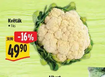 Albert Květák nabídka