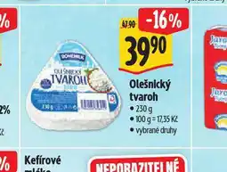 Albert Olešnický tvaroh nabídka