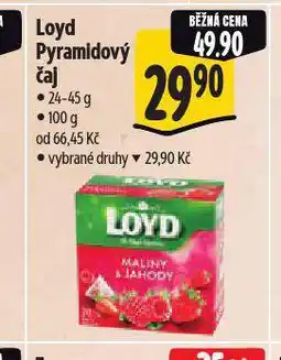 Albert Loyd pyramidový čaj nabídka