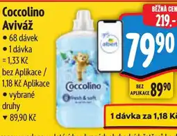 Albert Coccolino Aviváž nabídka
