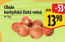 Albert Cibule kuchyňská žlutá volná nabídka