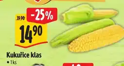 Albert Kukuřice klas nabídka