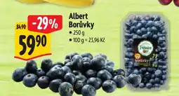 Albert Albert Borůvky nabídka