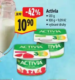 Albert Activia nabídka