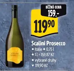 Albert Scalini Prosecco nabídka