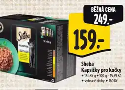 Albert Sheba Kapsičky pro kočky nabídka