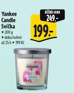 Albert Yankee Candle Svíčka nabídka
