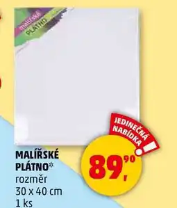 Penny Market MALÍŘSKÉ PLÁTNO rozměr 30 x 40 cm, 1 ks nabídka