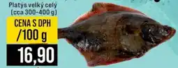 Jip Platys velký celý nabídka