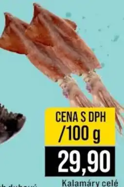 Jip Kalamáry celé nabídka