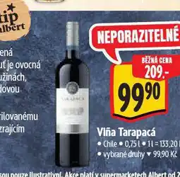 Albert Merlot viňa tarapacá nabídka
