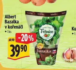 Albert Bazalka v kořenáči nabídka
