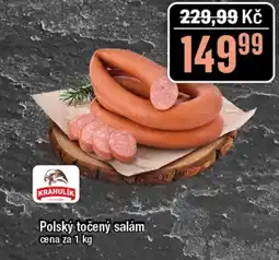 TEMPO Polský točený salám nabídka