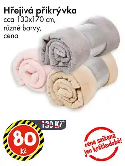 TEDi Hřejivá přikrývka nabídka