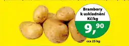 Konzum Brambory k uskladnění nabídka