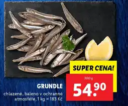 Lidl Grundle nabídka
