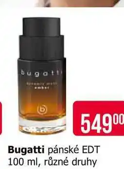 Teta Bugatti pánské EDT 100 ml, různé druhy nabídka