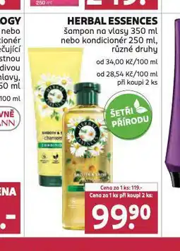 Rossmann Herbal essences šampon, kondicioner nabídka
