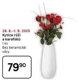 Tesco Kytice růží a karafiátů, 1 ks nabídka
