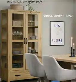 JYSK Vitrína JUNGEN nabídka