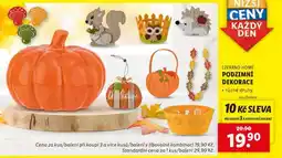 Lidl LIVARNO HOME PODZIMNÍ DEKORACE nabídka