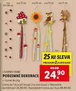 Lidl LIVARNO HOME PODZIMNÍ DEKORACE nabídka