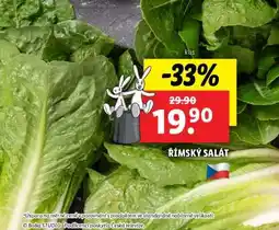 Lidl Římský salát nabídka