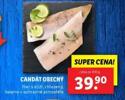 Lidl Candát obecný nabídka