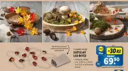 Lidl LIVARNO HOME SVĚTELNÝ LED ŘETĚZ nabídka