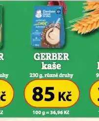 Dr. Max Gerber kaše nabídka