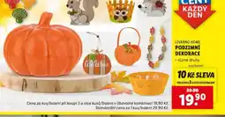 Lidl Podzimní dekorace nabídka