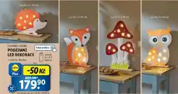 Lidl LIVARNO HOME PODZIMNÍ LED DEKORACE nabídka