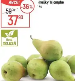 Globus Hrušky Triomphe nabídka