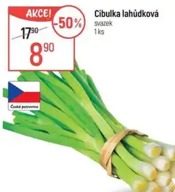 Globus Cibulka lahůdková nabídka