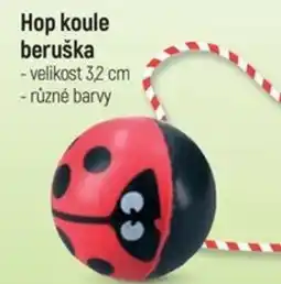 Globus Hop koule beruška nabídka