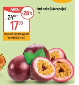 Globus Mučenka (Maracuja) nabídka