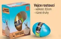 Globus Vejce rostoucí nabídka