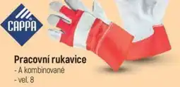 Globus Pracovní rukavice nabídka