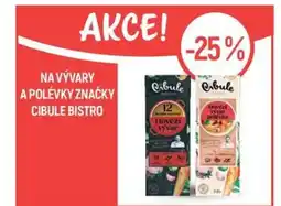 Globus Na vývary a polévky značky Cibule bistro nabídka