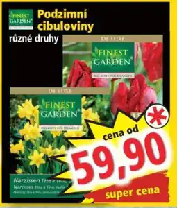 Norma Podzimní cibuloviny nabídka